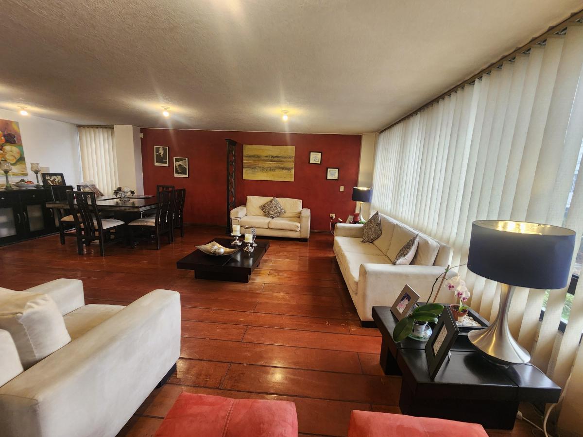 Venta Departamento Centro Norte Sector El Pinar 3 Dorm. Amplio 167 m Planta Baja — imagen 8