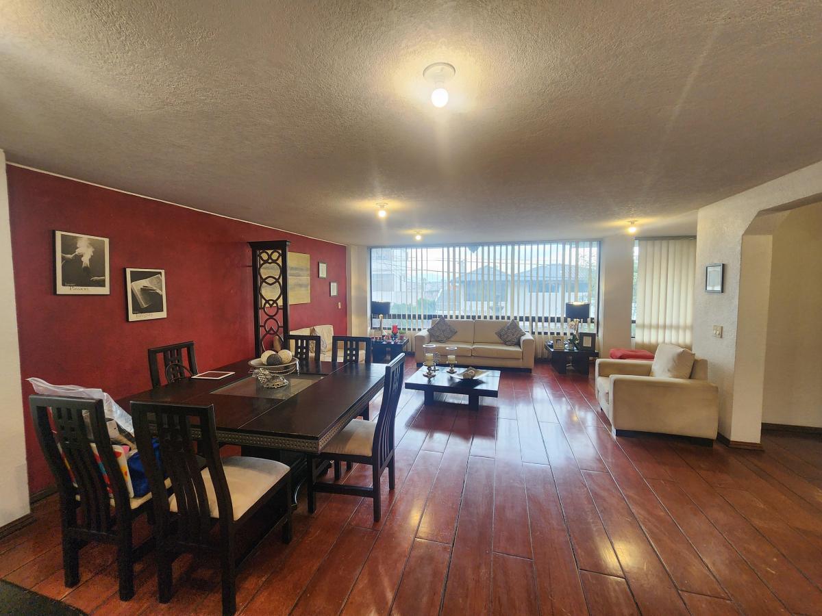 Venta Departamento Centro Norte Sector El Pinar 3 Dorm. Amplio 167 m Planta Baja — imagen 7