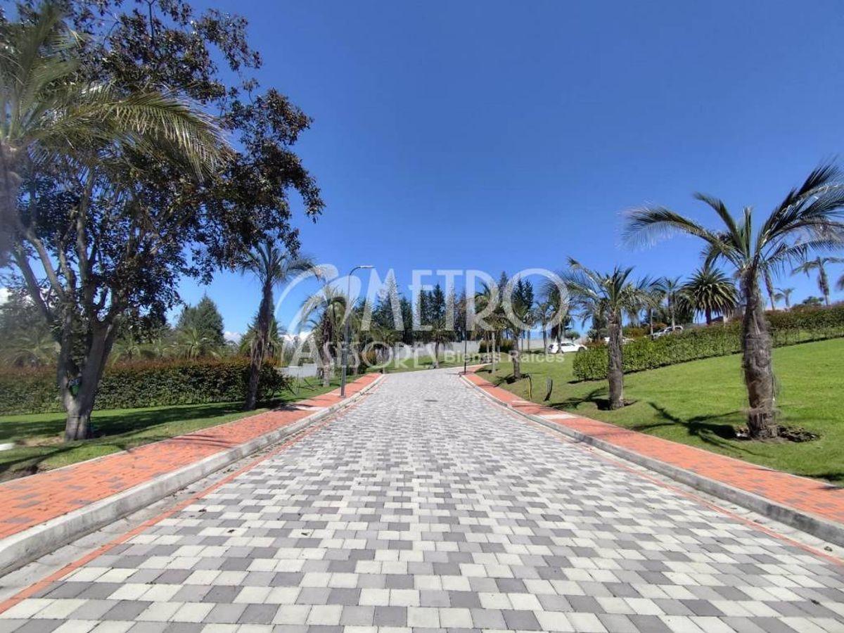 Terreno en Venta de 901 m² en Puembo — imagen 9