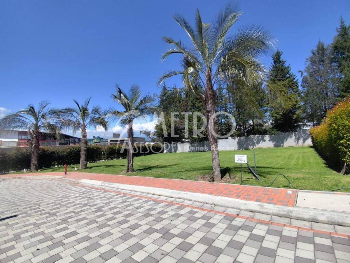 Terreno en Venta de 901 m² en Puembo — imagen 8