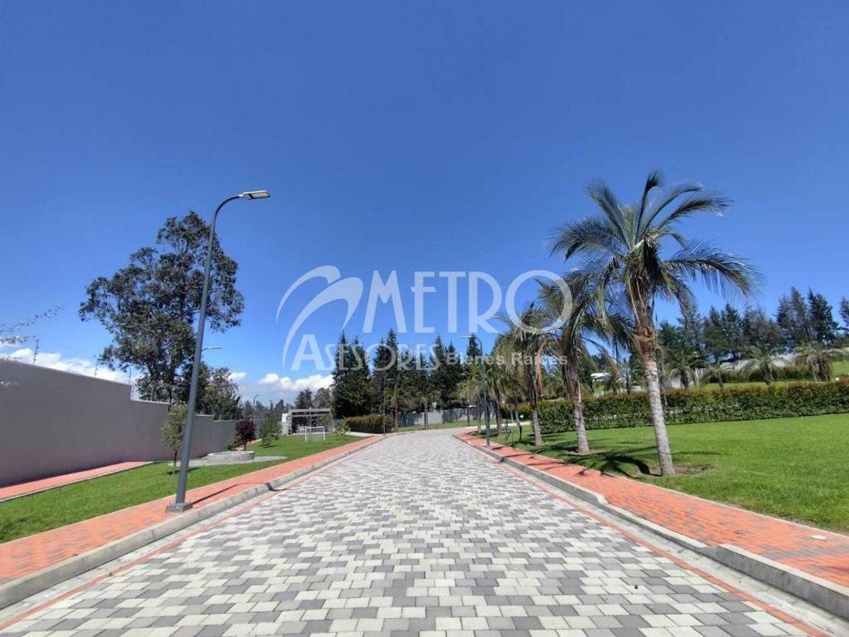 Terreno en Venta de 901 m² en Puembo — imagen 7