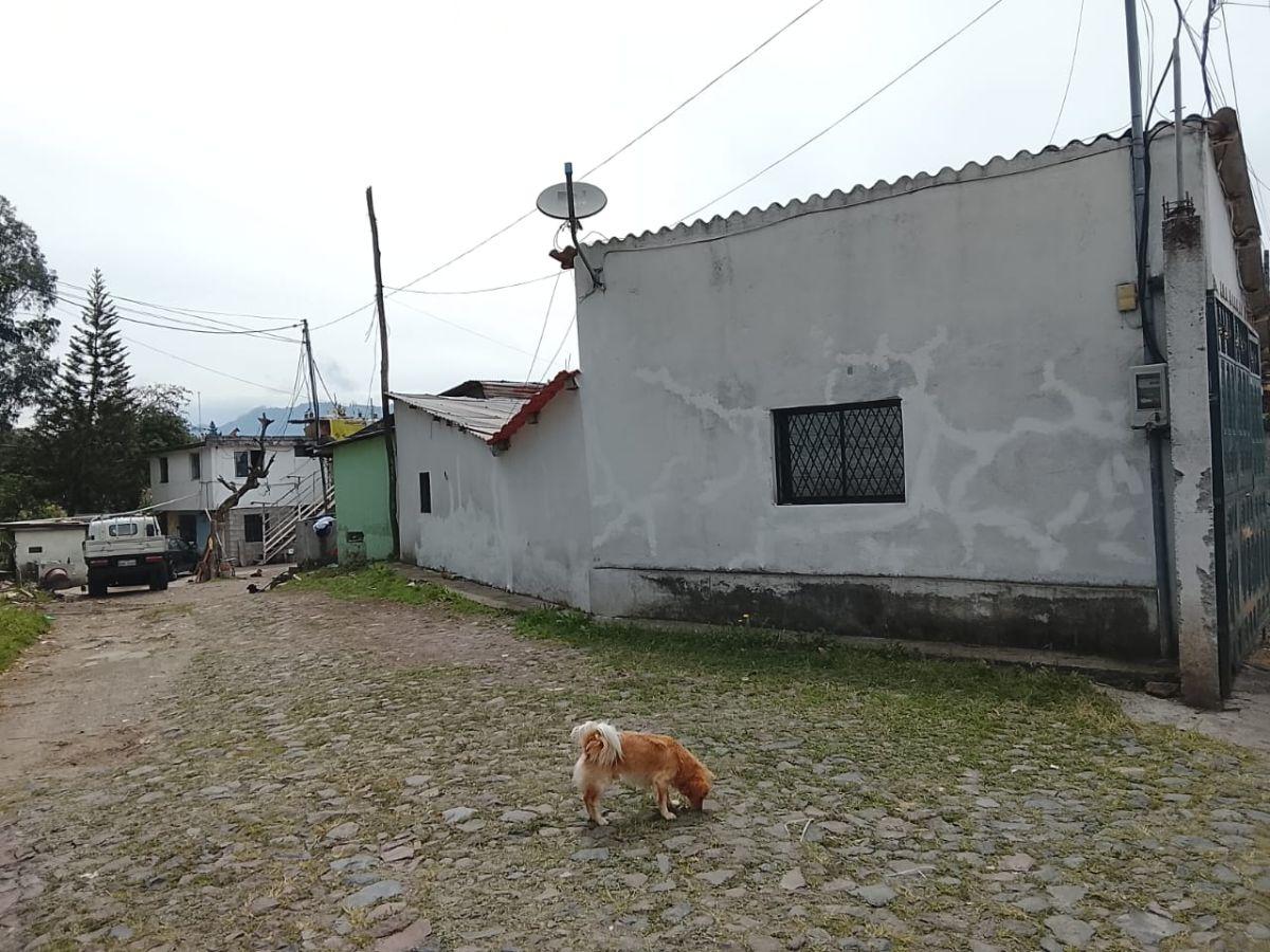 Casa de Venta en Sector Andaluz de Conocoto a La Altura del Puente 3 — imagen 8