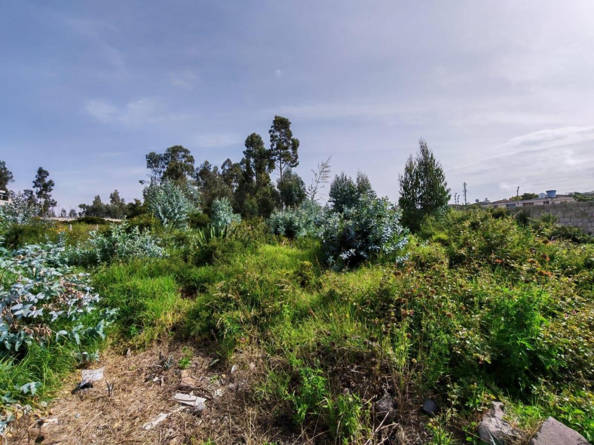 Terreno Plano 3.155 m² Inmobiliarios Empresa — imagen 8