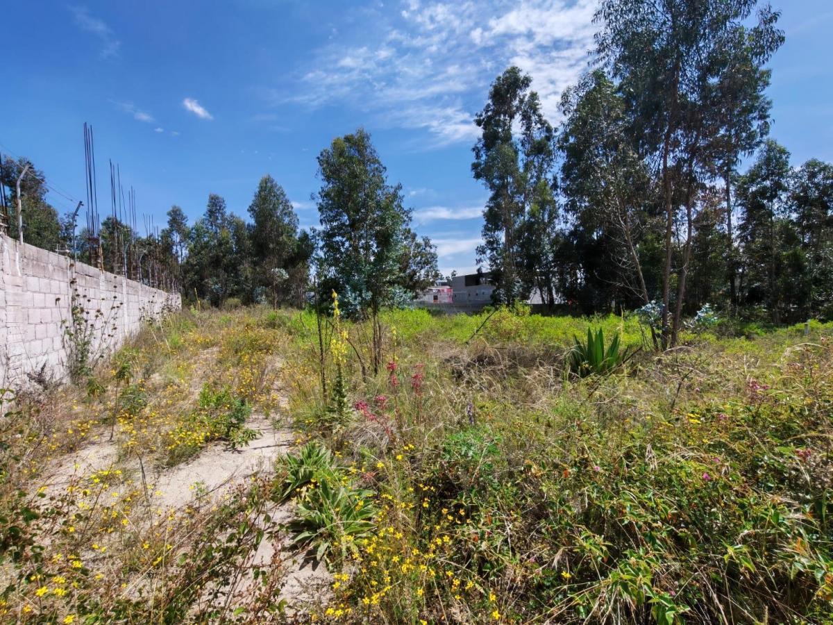 Terreno Plano 3.155 m² Inmobiliarios Empresa — imagen 7