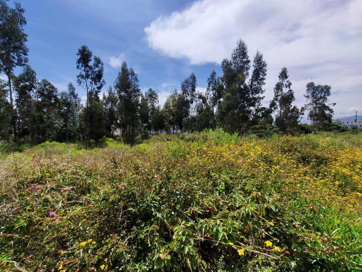 Terreno Plano 3.155 m² Inmobiliarios Empresa — imagen 6