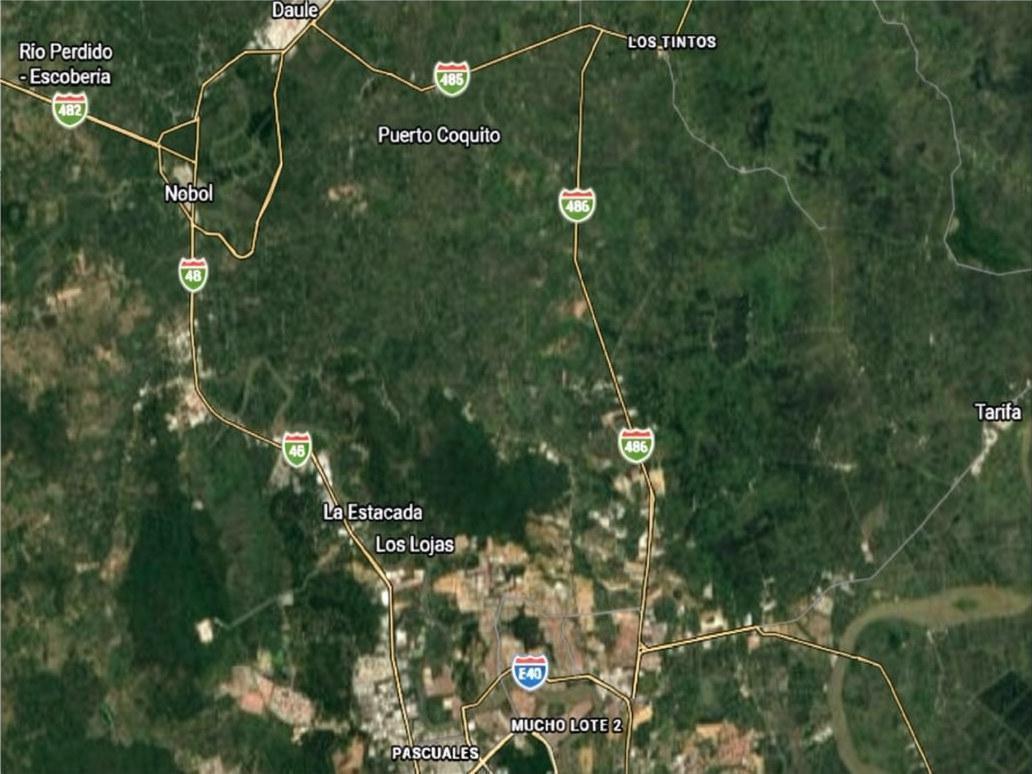 En Via Salitre Pasando Peaje, Venta Macrolote 18ha Corredor en Expansión Norte de Guayaquil, Guayas — imagen 2