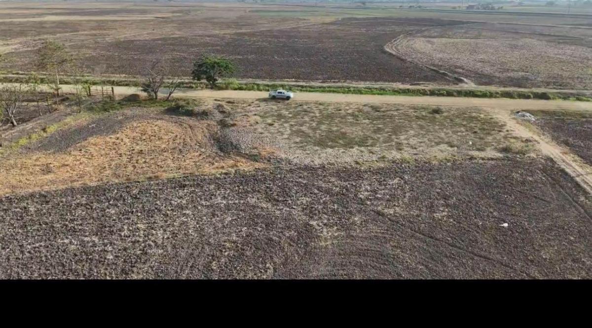👉 Terreno en Venta – Recinto La Barranca, Nuevo Samborondón (4.03 Ha), Guayas — imagen 4