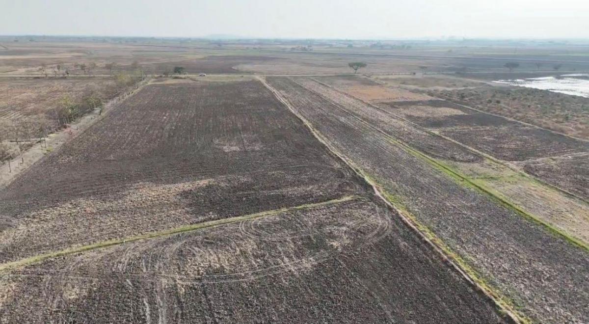 👉 Terreno en Venta – Recinto La Barranca, Nuevo Samborondón (4.03 Ha), Guayas — imagen 3