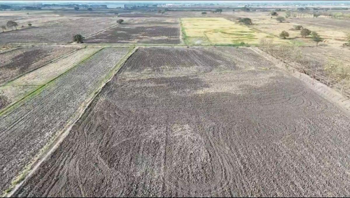 👉 Terreno en Venta – Recinto La Barranca, Nuevo Samborondón (4.03 Ha), Guayas — imagen 2