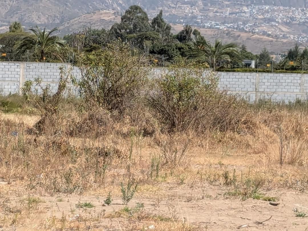 Venta Terreno en Puembo Arrayanes — imagen 5