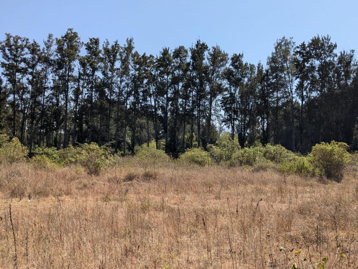 Venta Terreno en Puembo Arrayanes — imagen 4
