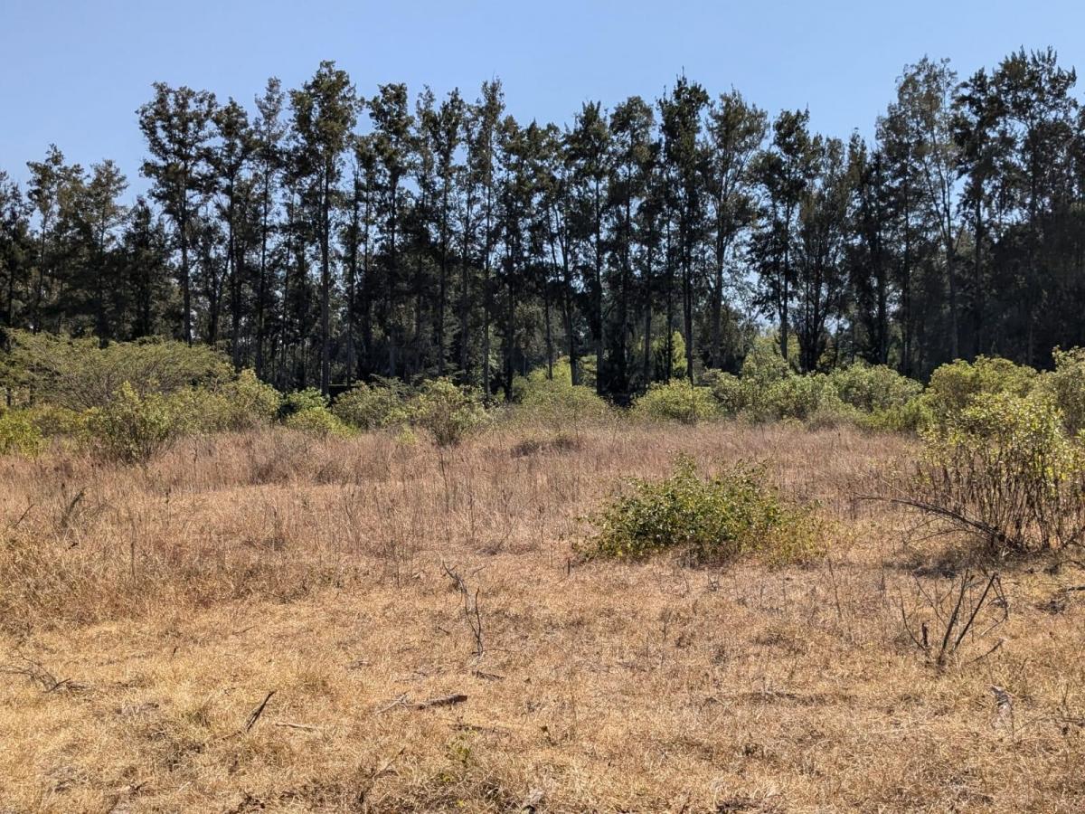 Venta Terreno en Puembo Arrayanes — imagen 3