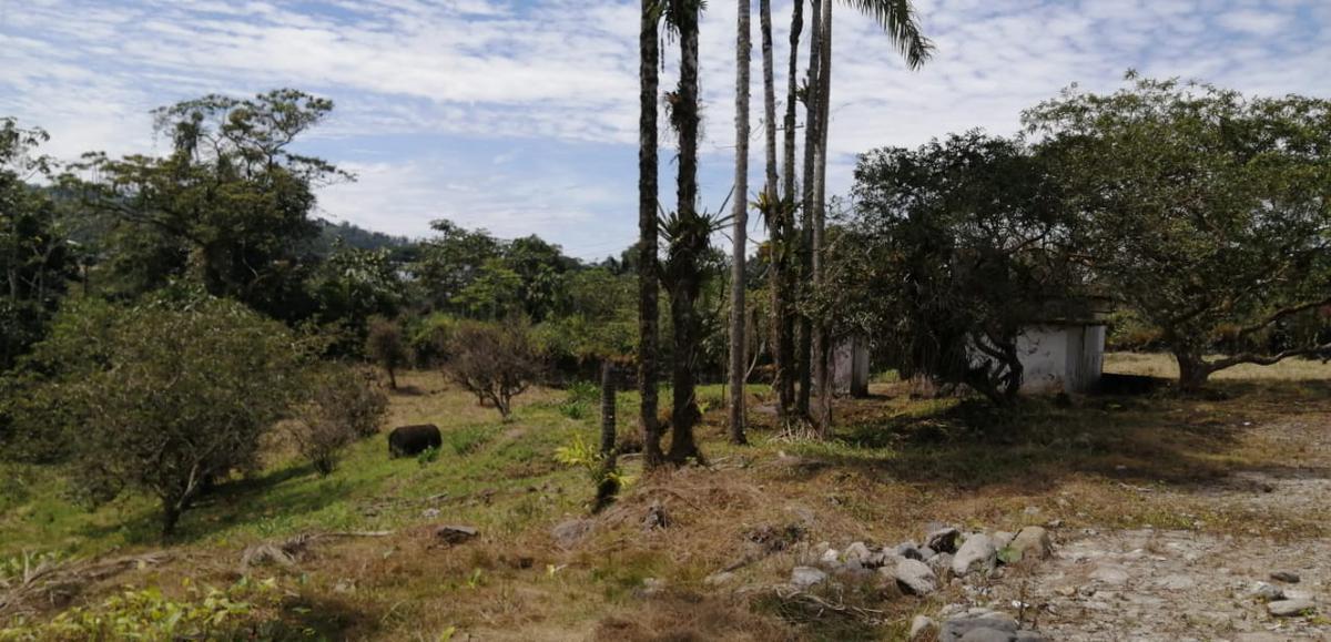 Terreno Industrial en Venta en Shell Pastaza, Pastaza — imagen 9