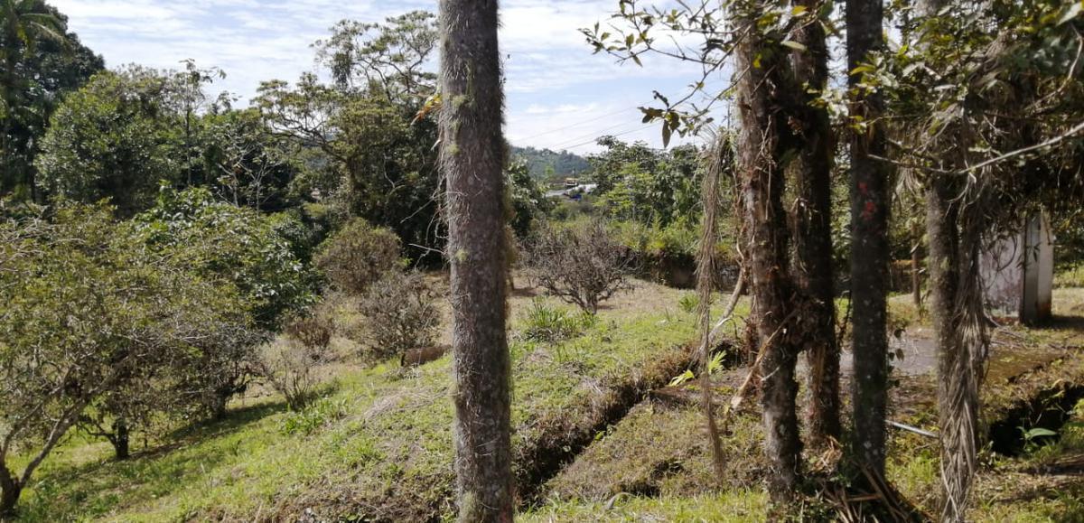 Terreno Industrial en Venta en Shell Pastaza, Pastaza — imagen 7