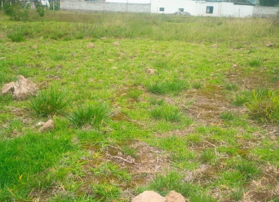 Terreno de Venta Sector Lampata 3500 m², Tungurahua — imagen 9
