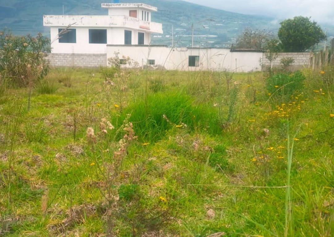 Terreno de Venta Sector Lampata 3500 m², Tungurahua — imagen 8