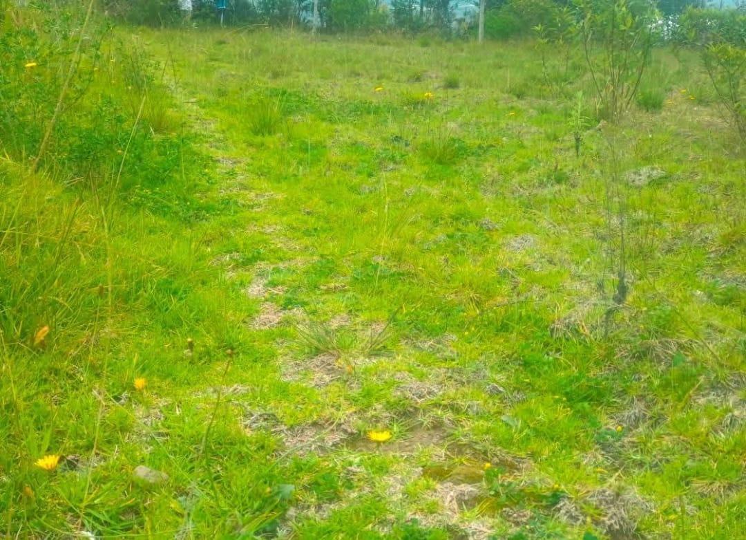 Terreno de Venta Sector Lampata 3500 m², Tungurahua — imagen 7