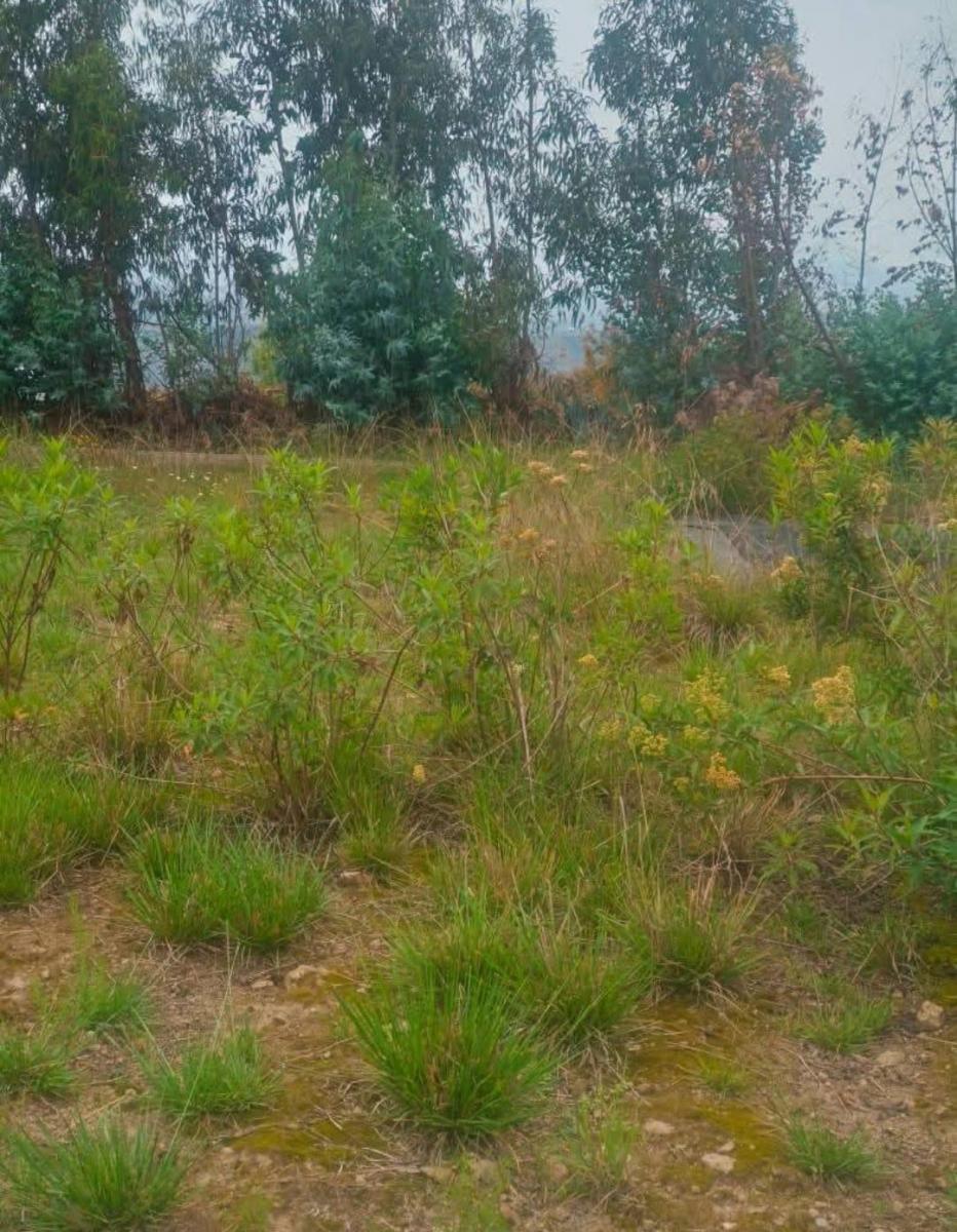 Terreno de Venta Sector Lampata 3500 m², Tungurahua — imagen 6