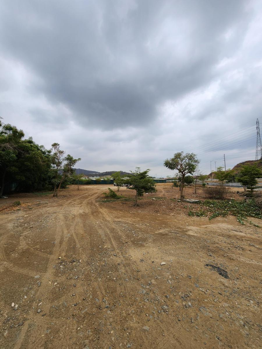 Terreno en Venta, Urbanización La Joya - Etapa Tiara, Guayas — imagen 8