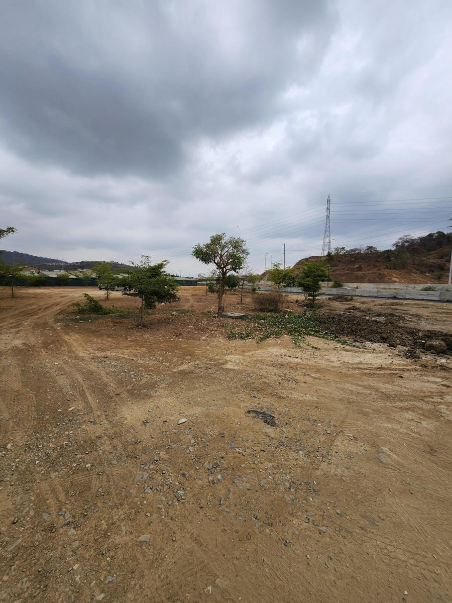 Terreno en Venta, Urbanización La Joya - Etapa Tiara, Guayas — imagen 7