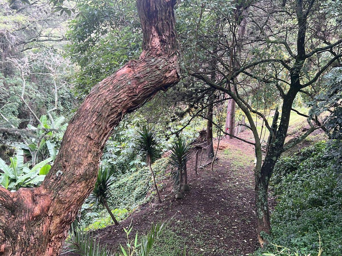 Tumbaco Terreno de Venta Sector La Viña Ideal Para Constructores — imagen 9