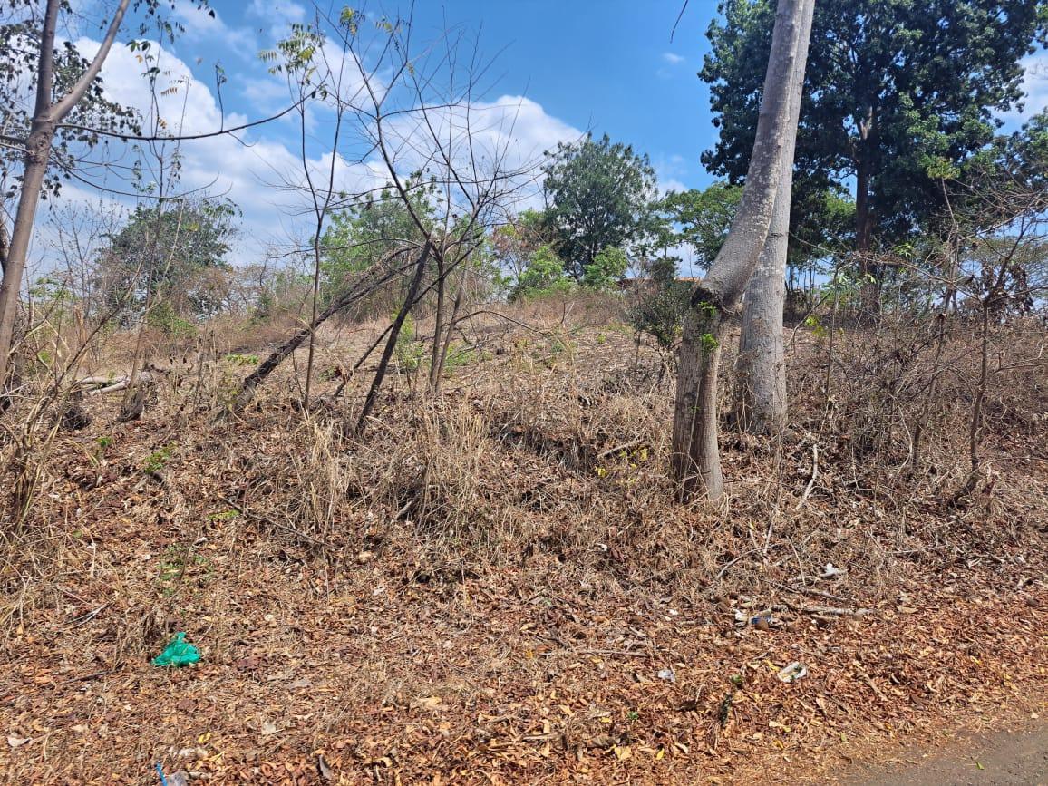 Lotización Tiffany, Lotes en Venta, Excelente Precio, Km. 22 Vía a La Costa, Guayas — imagen 2