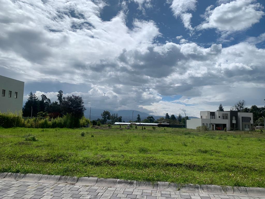Terreno de Venta en Puembo Sector Colegio Highlands — imagen 8