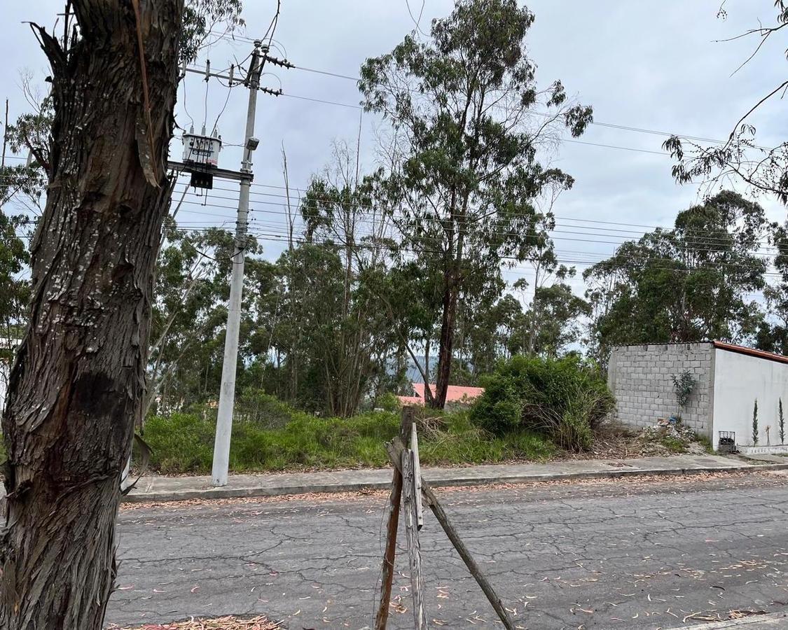 Oportunidad Terreno en La Mitad del Mundo — imagen 4