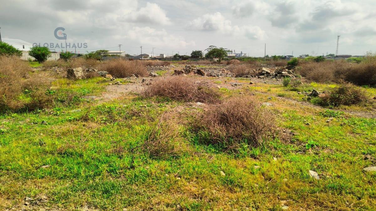 Venta Terreno Industrial Km 6.5 Via Duran Tambo, Sur de Duran 5600 Km², J. C. Guayas — imagen 5