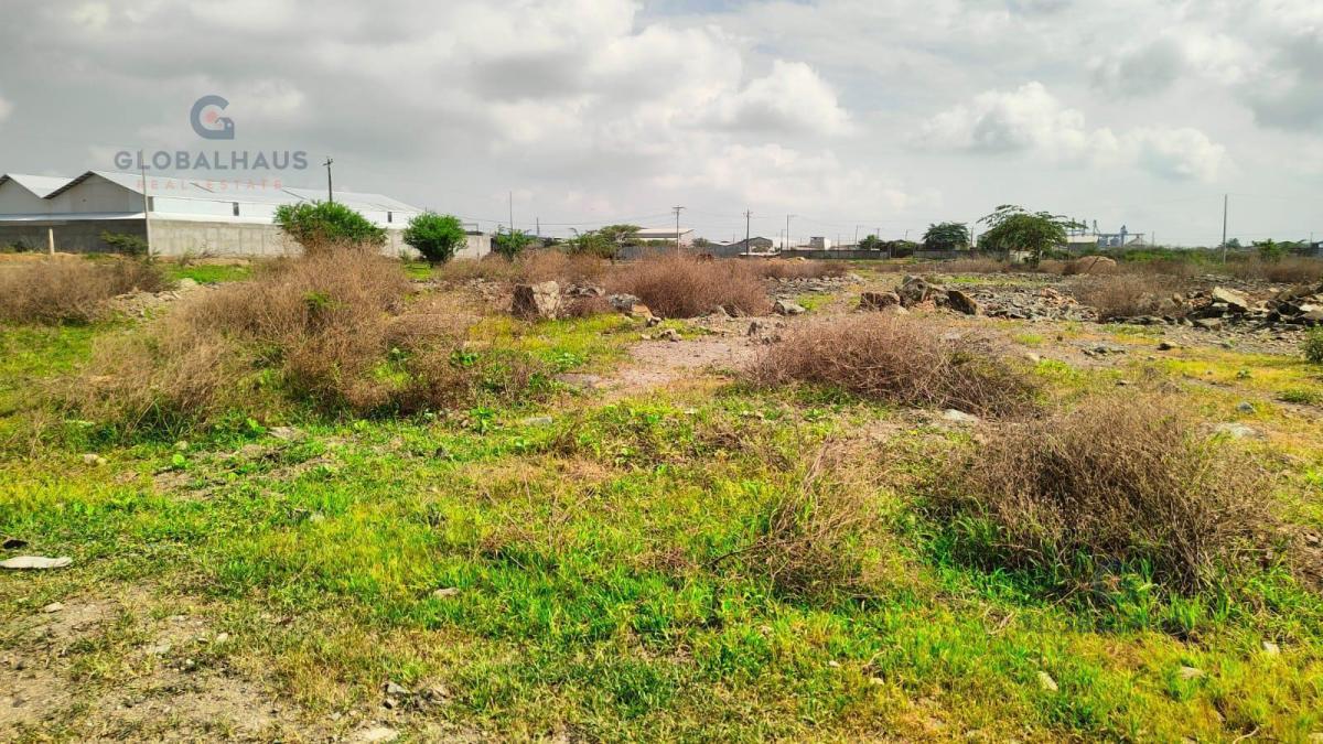 Venta Terreno Industrial Km 6.5 Via Duran Tambo, Sur de Duran 5600 Km², J. C. Guayas — imagen 4