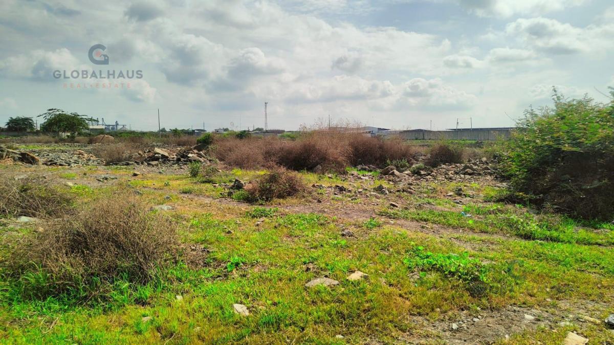 Venta Terreno Industrial Km 6.5 Via Duran Tambo, Sur de Duran 5600 Km², J. C. Guayas — imagen 3