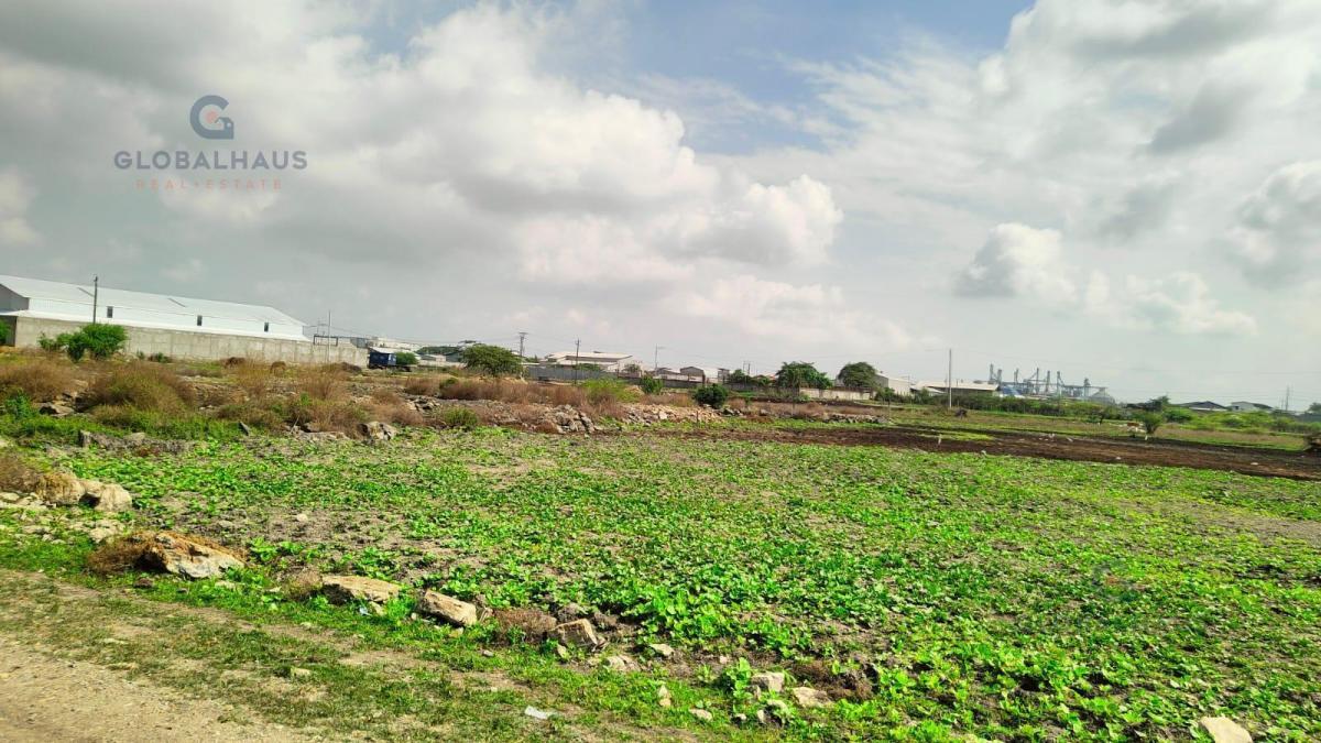Venta Terreno Industrial Km 6.5 Via Duran Tambo, Sur de Duran 5600 Km², J. C. Guayas — imagen 2