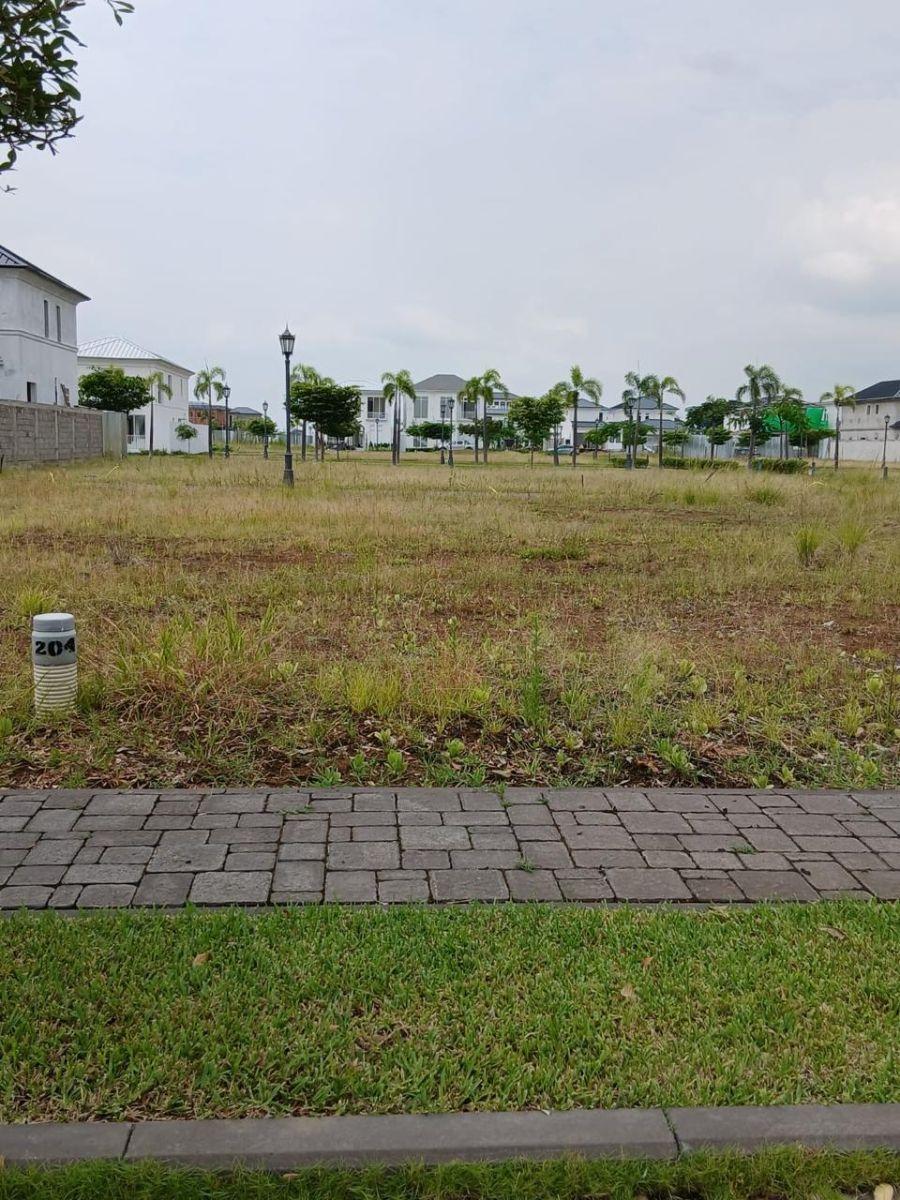 Se Vende Terreno en Aires Norte 255 m², Guayas — imagen 8