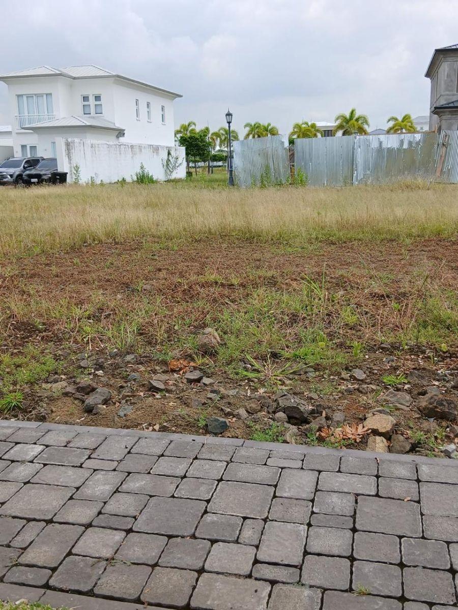 Se Vende Terreno en Aires Norte 255 m², Guayas — imagen 6
