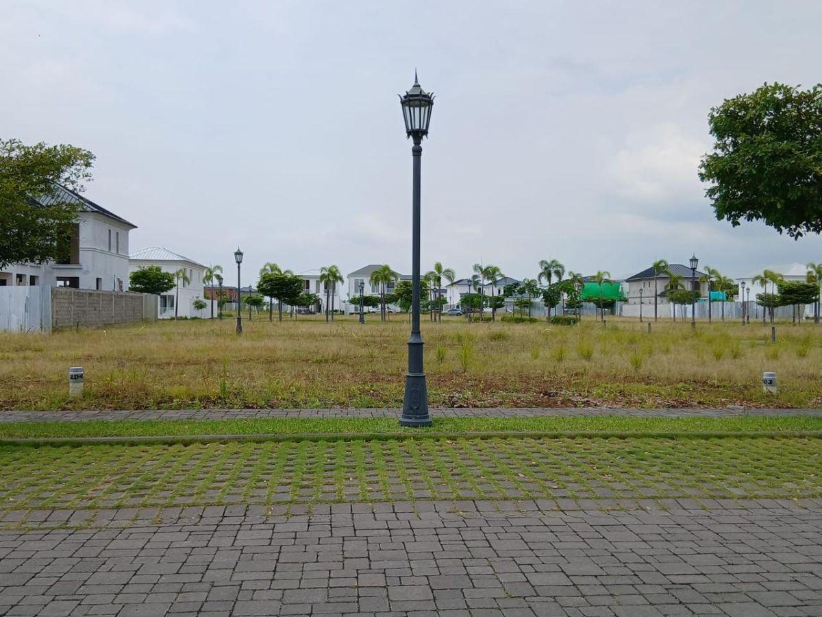 Se Vende Terreno en Aires Norte 255 m², Guayas — imagen 4