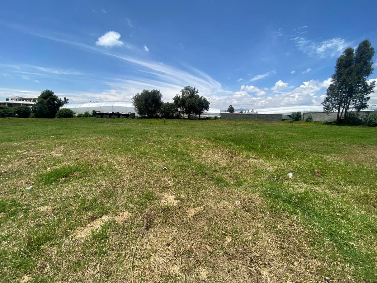 Lasso, en Venta Terreno 5700 m² Frente Aglomerados Cotopaxi, Cotopaxi — imagen 10