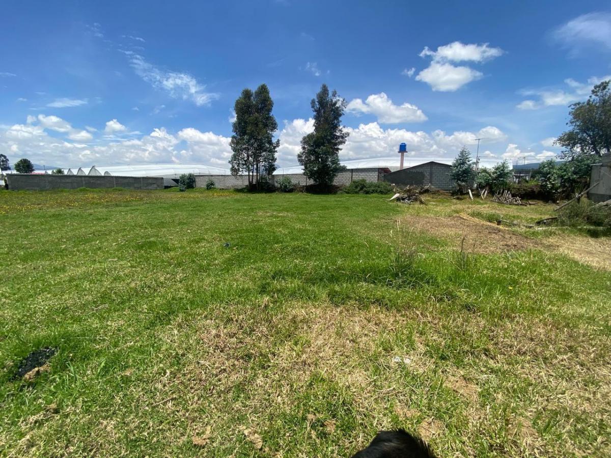 Lasso, en Venta Terreno 5700 m² Frente Aglomerados Cotopaxi, Cotopaxi — imagen 7