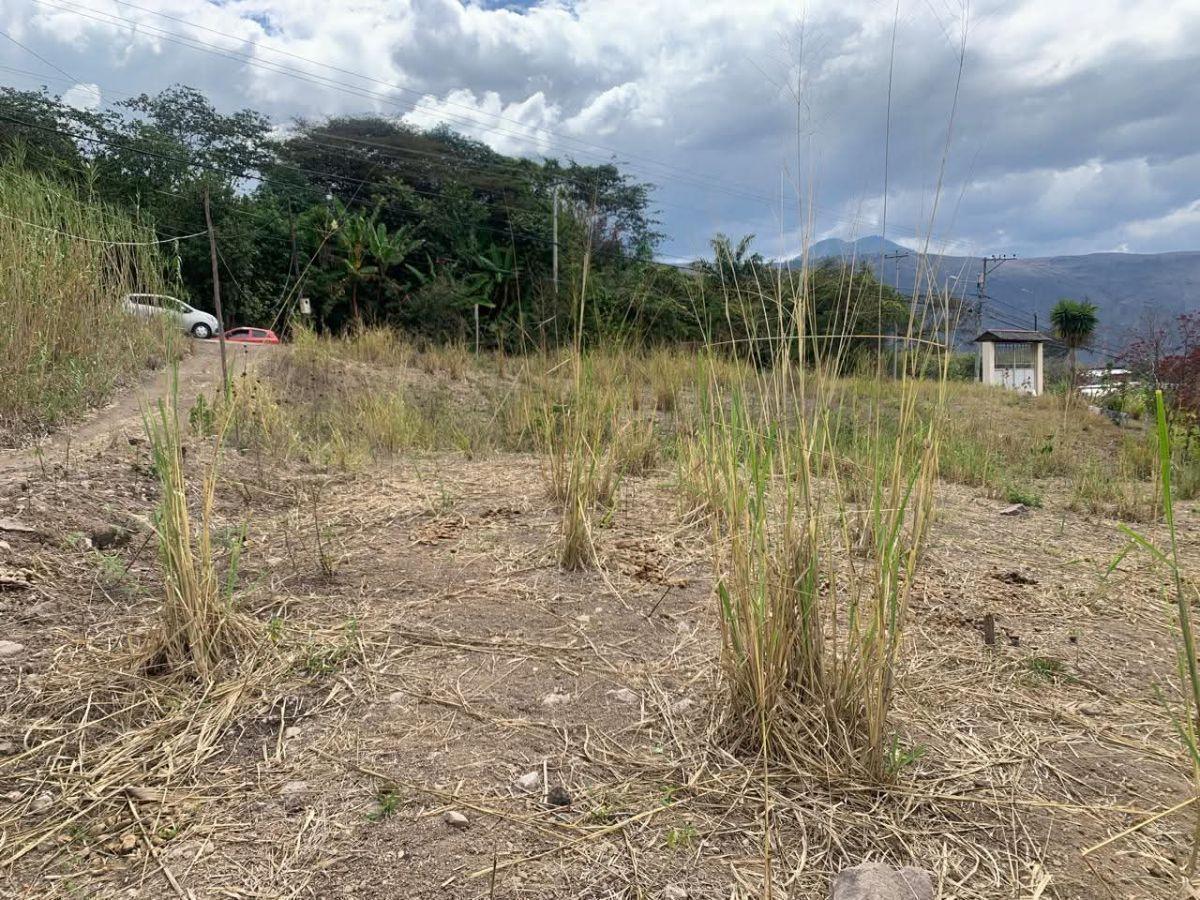 De Oportunidad Terreno en Venta - Honapala - Cuenca, Azuay — imagen 7