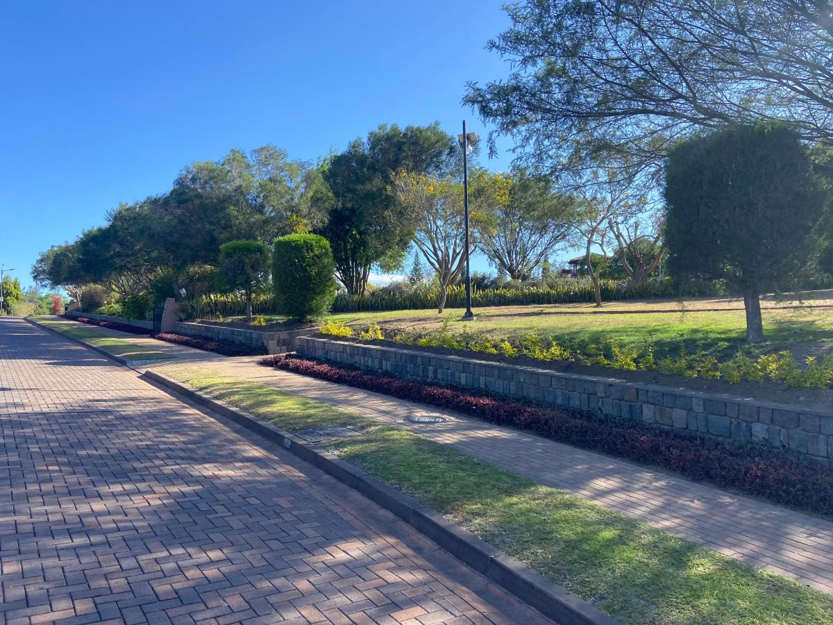 Terreno Venta Jardines de Santa Ines — imagen 7