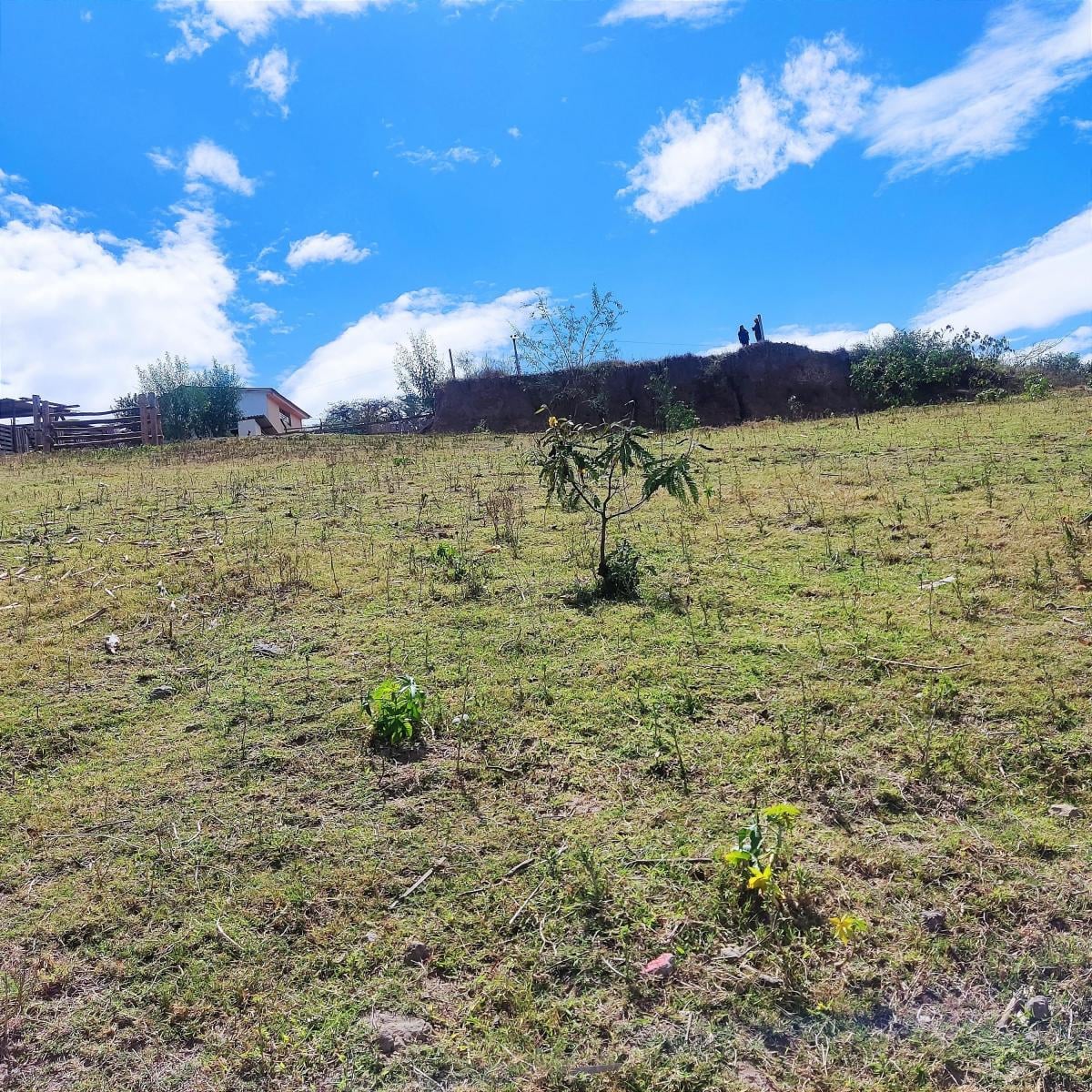 Terreno 5700 m² Sector Churoloma Tumbaco — imagen 7