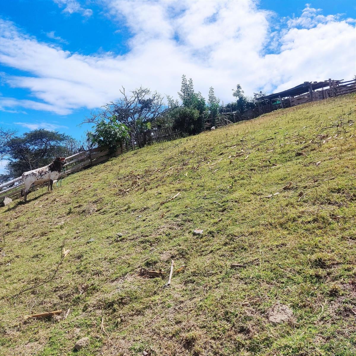 Terreno 5700 m² Sector Churoloma Tumbaco — imagen 6