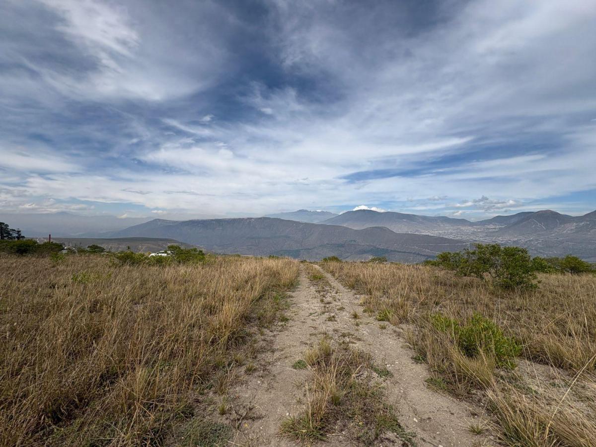 Venta Terreno 4583 m² Sector Malchinguí — imagen 9