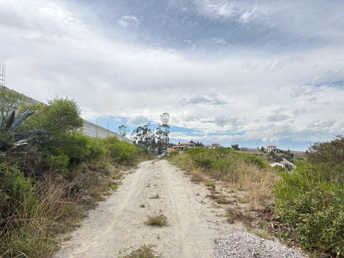 Venta Terreno 4583 m² Sector Malchinguí — imagen 8