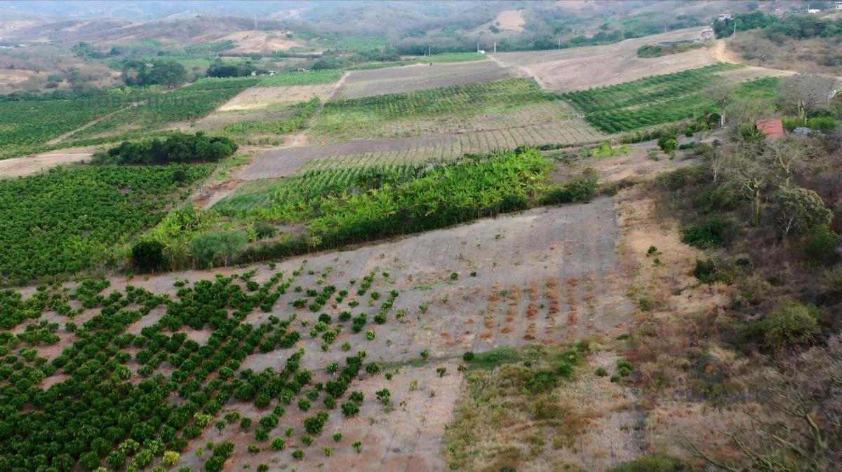Venta de Finca en El Cantón Jaramijó - 21.951 m². A. G, Manabí — imagen 5