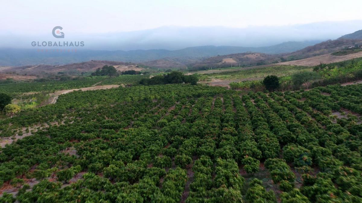 Venta de Finca en El Cantón Jaramijó - 21.951 m². A. G, Manabí — imagen 3