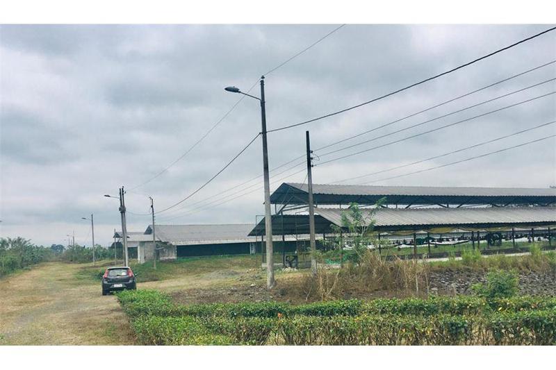 Venta Terreno 1 Hect - Bucay (Jlr), Guayas — imagen 2
