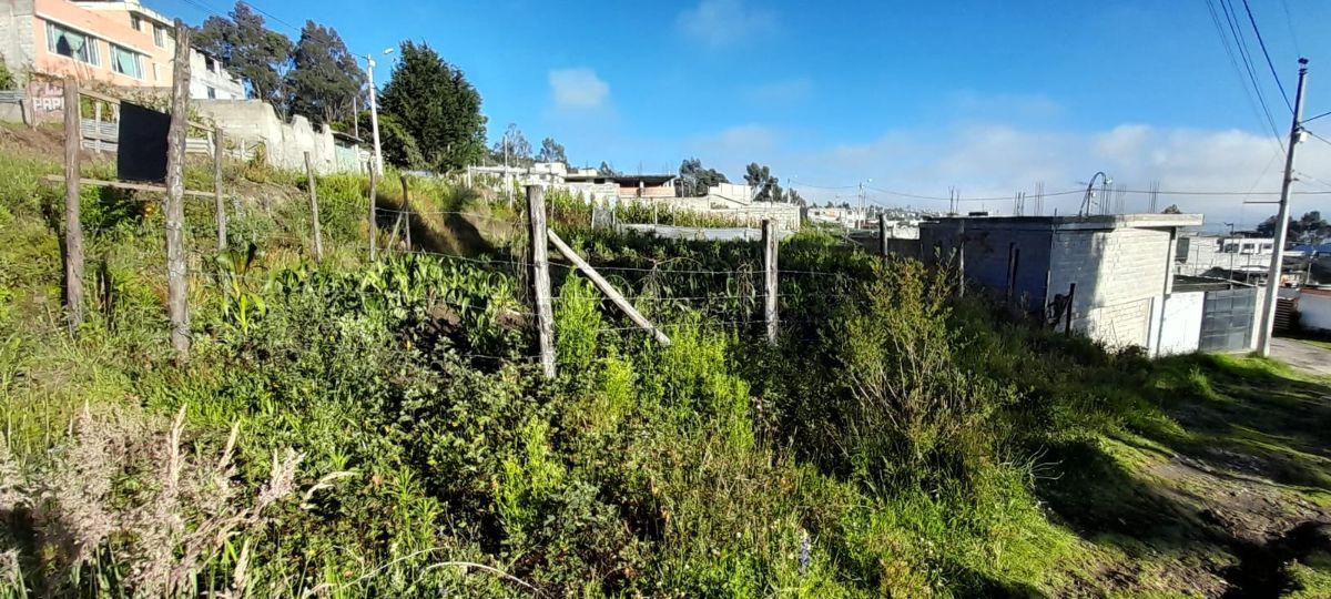 Terreno en Venta Rancho Alto — imagen 8