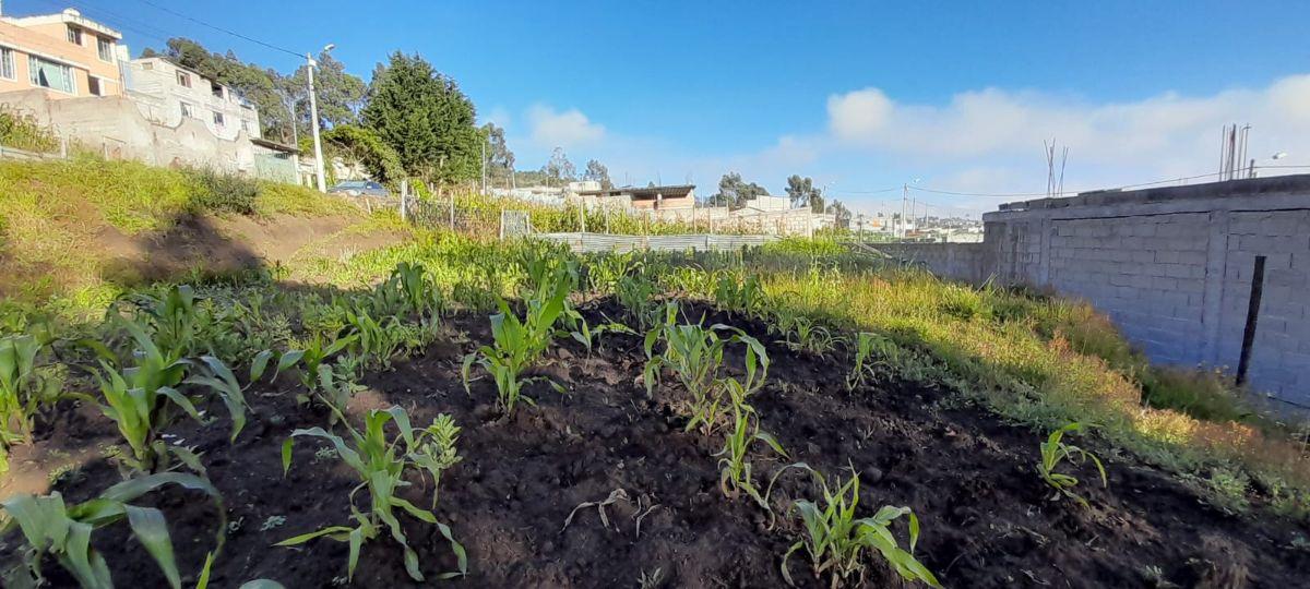 Terreno en Venta Rancho Alto — imagen 7