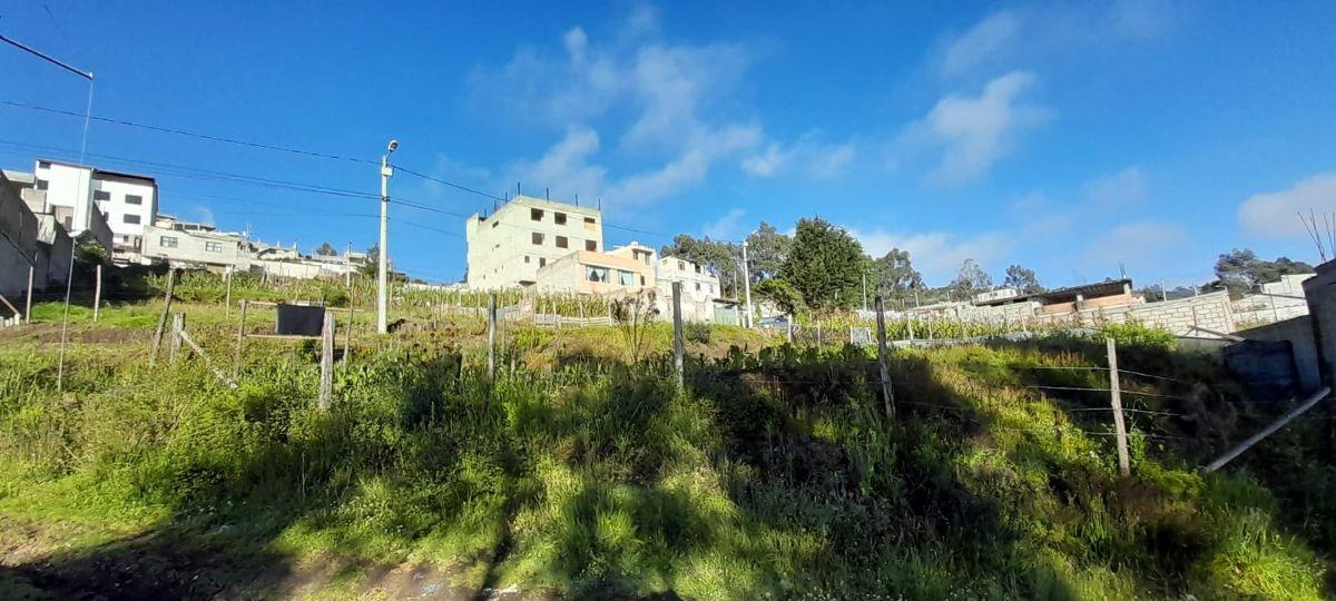 Terreno en Venta Rancho Alto — imagen 6