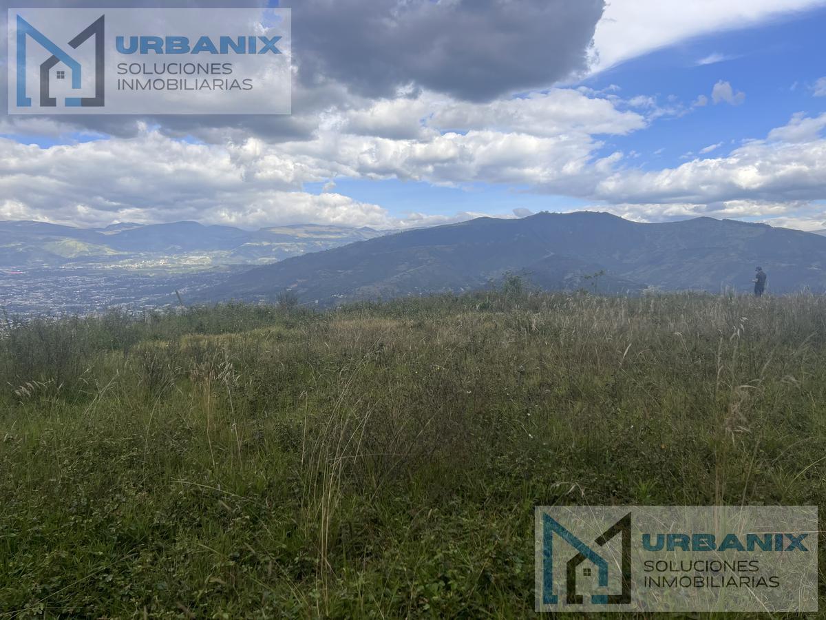 Terreno Para Urbanización Entre Lumbisí y San Patricio. Provincia de Pichincha — imagen 9
